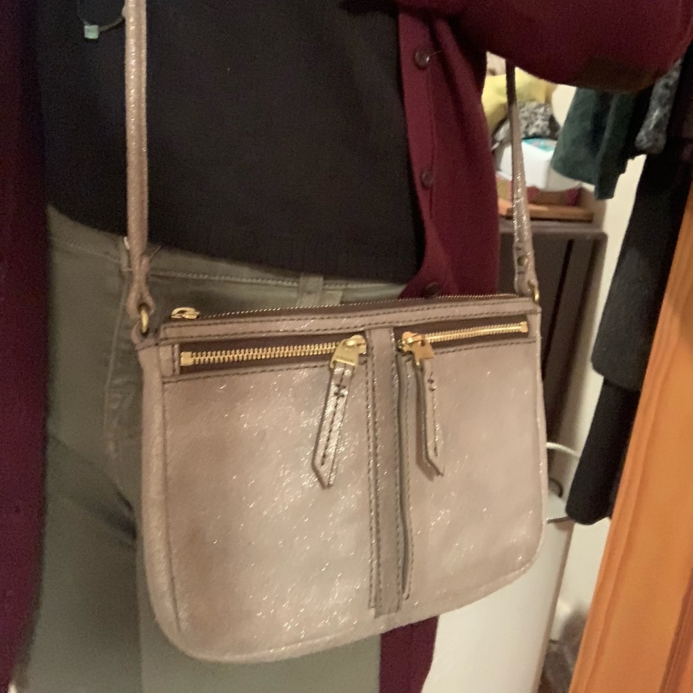 Fossil Metallic Crossbody